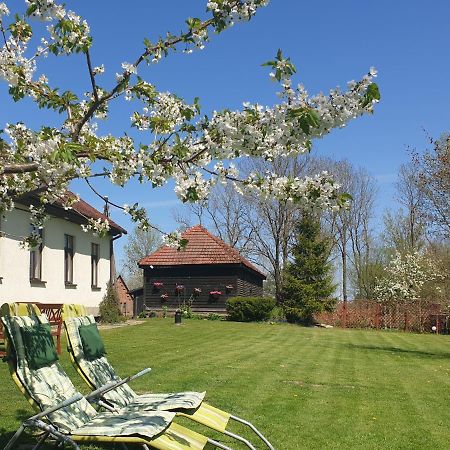 Folwark Goscino-Dwor Bed and Breakfast Buitenkant foto
